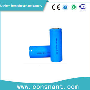 La vie servante de lithium de fer de phosphate cycle léger de petite taille de batterie de long